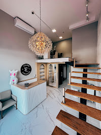 Studio Cavaleto - Recepção